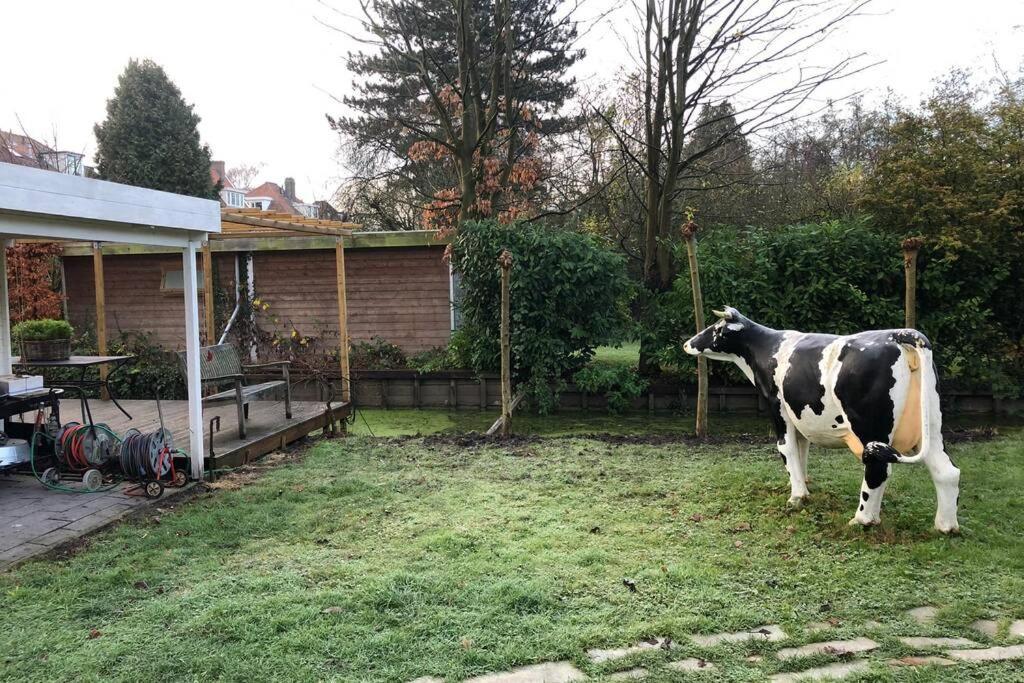 Tiny House In Tuin Van De Statige Villa Mariahof Dordrecht Eksteriør bilde